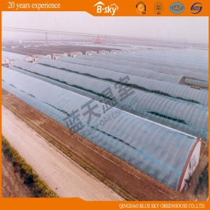 Good Heat Insulation Solar Greenhouse for Strawberry Growing
