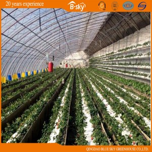 Solar Green House for Vegetable Planting Solar Green House for Vegetable Planting