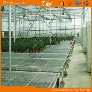 Greenhouse Equipment Greenhouse Seedbed/Seeding Bed