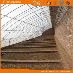 High Cost Performance Solar Greenhouse for Winter Use