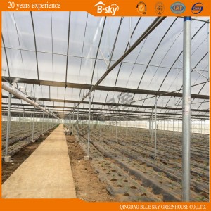 Best Sale Commercial Multi-Span Plastic Film Greenhouse for Vegetable Growing