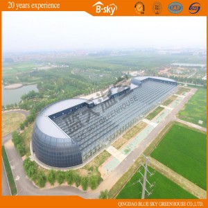 Dutch Technology Glass Multi-Span Green House China Supplier