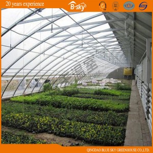 High Output Solar Greenhouse for Strawberry Growing