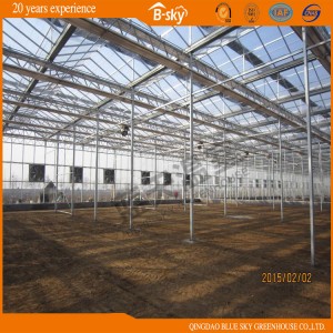 High Production Multi-Span Glass Greenhouse