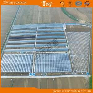 Dutch Technology Film Multi-Span Greenhouse