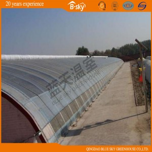 Film Solar Green House for Vegetable Planting