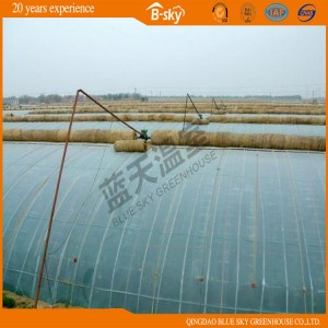 High Cost Performance Solar Green House for Vegetable Planting
