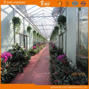 Glass Multi-Span Green House China Supplier