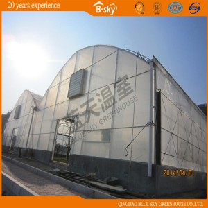 High Light Transmittance PC Sheet Greenhouse for Vegetable Planting