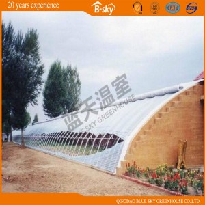 Low Cost Solar Greenhouse for Strawberry Growing