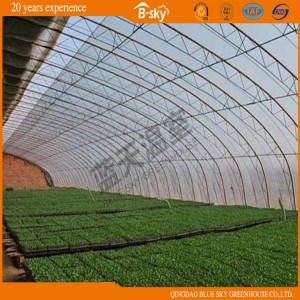 Good Heat Insulaion Solar Green House for Vegetable Planting