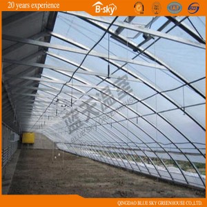 High Production Film Covered Solar Greenhouse for Planting Vegetables