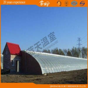 High Quality Plastic Film Solar Greenhouse for Vegetable Planting