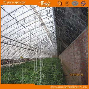 Single Span Plastic Film Green House for Commercial Use
