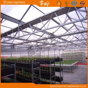 High Quality Polycarbonate Sheet Multi-Span Green House