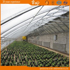 Widely Used Solar Green House for Vegetable Planting