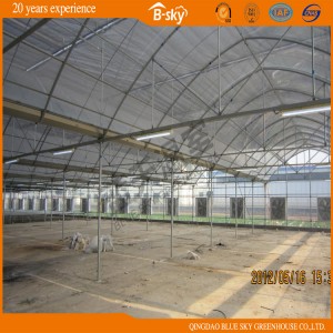 High-Quality Film Multi-Span Green House, Arch-Type