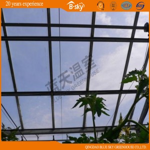 China Supplier Glass, Film, PC Panel Used for Greenhouse Materials