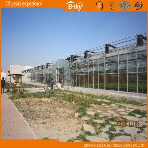 Glass Multi-Span Green House with High Cost Performance
