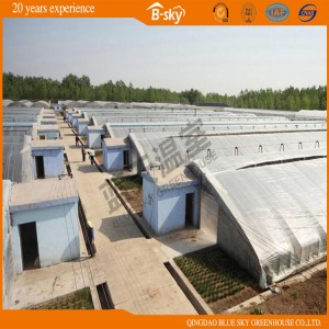 High Quality Solar Green House for Winter Use