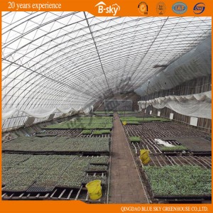 High Quality Film Covered Solar Greenhouse for Planting Vegetables