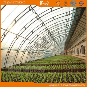 Good Heat Insulation Solar Greenhouse for Vegetable Planting