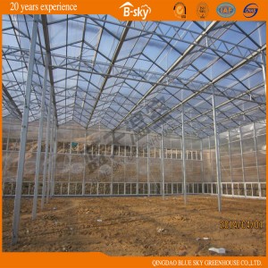 Good Appearance PC Sheet Greenhouse for Vegetable Planting
