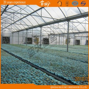 Multi-Span Plastic Film Agricultural Green House
