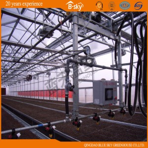 High Output Polycarbonate Sheet Multi-Span Green House