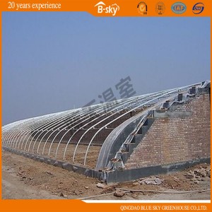 Solar Greenhouse for Winter Use China Supplier