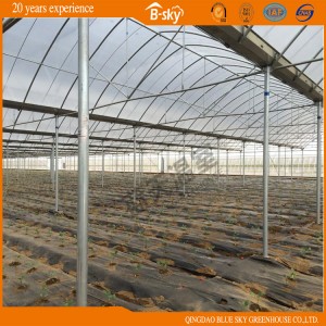 Best Sale Commercial Multi-Span Plastic Film Green House