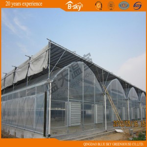 Long Life Span Gutter-Connect Greenhouse