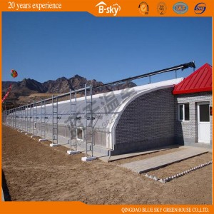 Solar Greenhouse for Vegetable Planting
