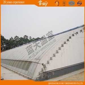 High Production Solar Green House for Vegetable Planting