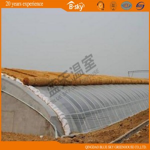 Low Cost Plastic Film Solar Greenhouse for Vegetable Planting
