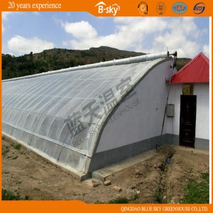 High Yield Solar Green House for Vegetable Planting
