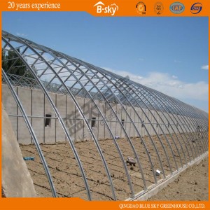 High Output Film Covered Solar Greenhouse for Planting Vegetables