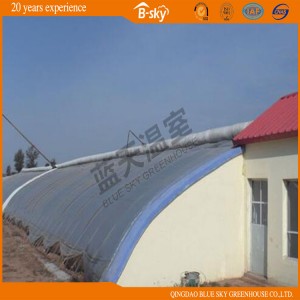 China Supplier Solar Greenhouse for Vegetable Planting