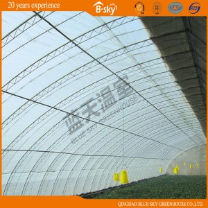 High Yield Solar Green House for Strawberry Growing