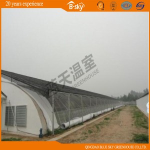 Hot Sale Solar Green House for Vegetable Planting