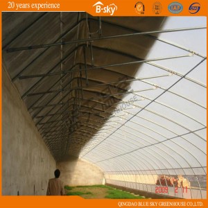 Low Cost Commercial Flower Vegetable Solar Greenhouse