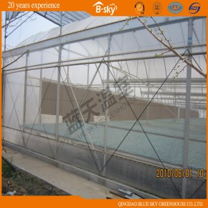 High Production Multi-Span Plastic Film Agricultural Green House
