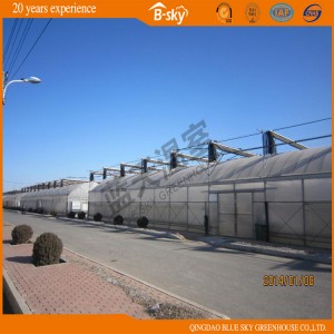 High-Quality Film Multi-Span Green House Arch Structure