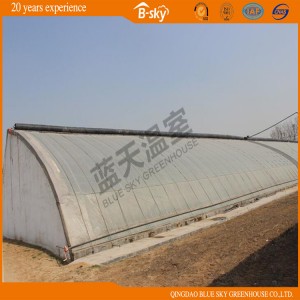 Low Cost Solar Green House for Winter Use