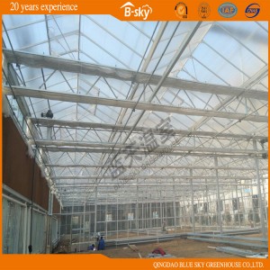 Long Life Span Glass Multi-Span Green House