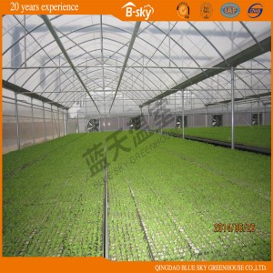 High Yield Plastic Film Greenhouse for Vegetable Planting