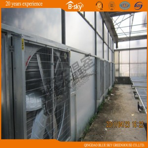 China Supplier Polycarbonate Board Green House with Film Roof