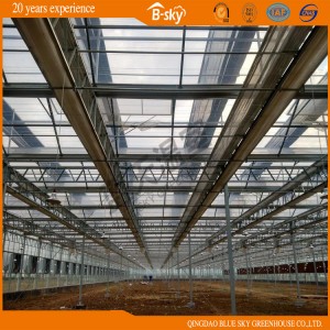 Durable Venlo Type F-Clean Film Roof Glass Wall Green House