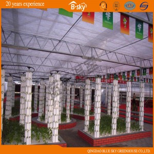 Polycarbonate Sheet Multi-Span Venlo Type Greenhouse