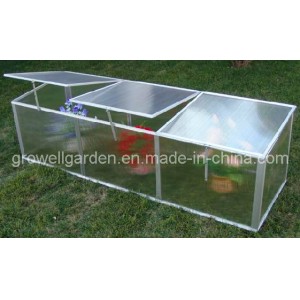 Cold Frame Greenhouse for Young Plants (C622)